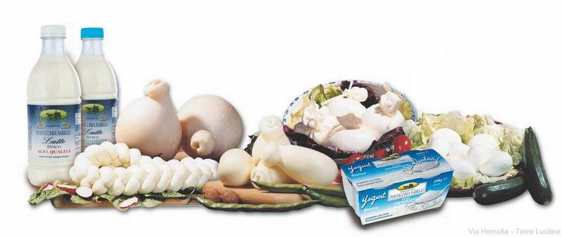 Masseria Posticchia Sabelli - Caseificatore Stagionatore