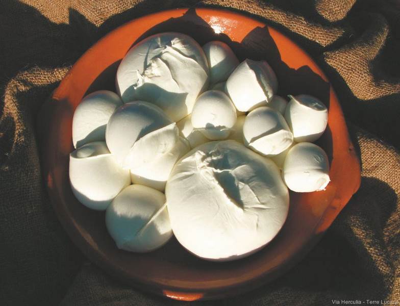 Caseificio Mazzarelli