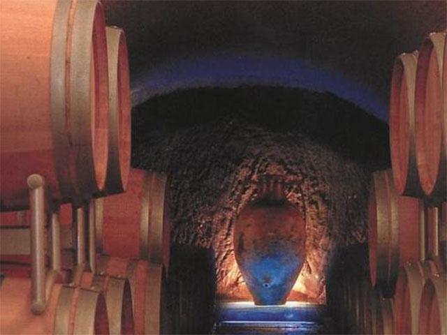 Azienda Agricola Elena Fucci