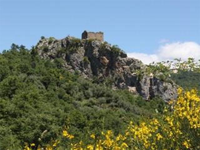 Azienda Agricola Biologica Pisani