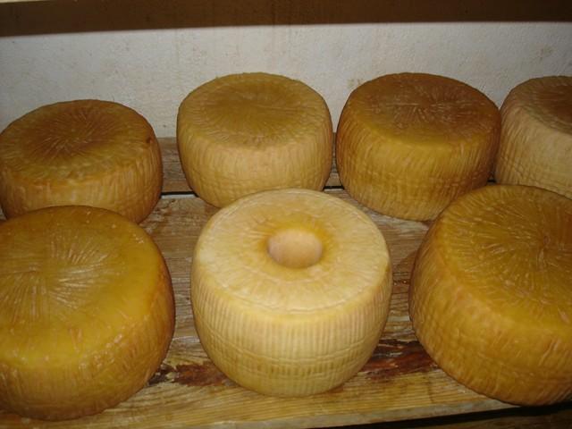 Azienda Agricola Petillo