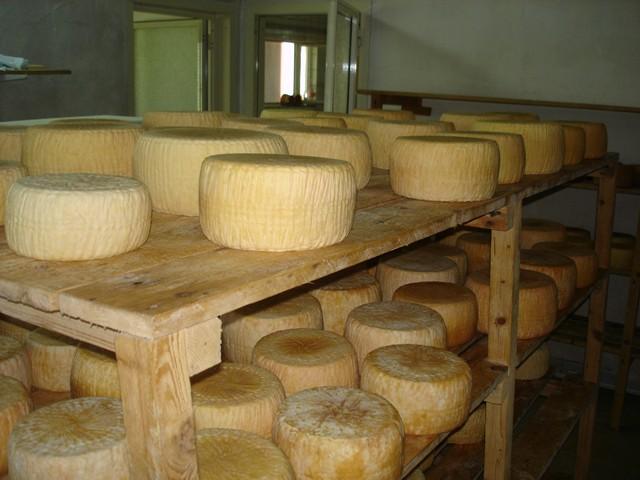 Azienda Agricola Petillo