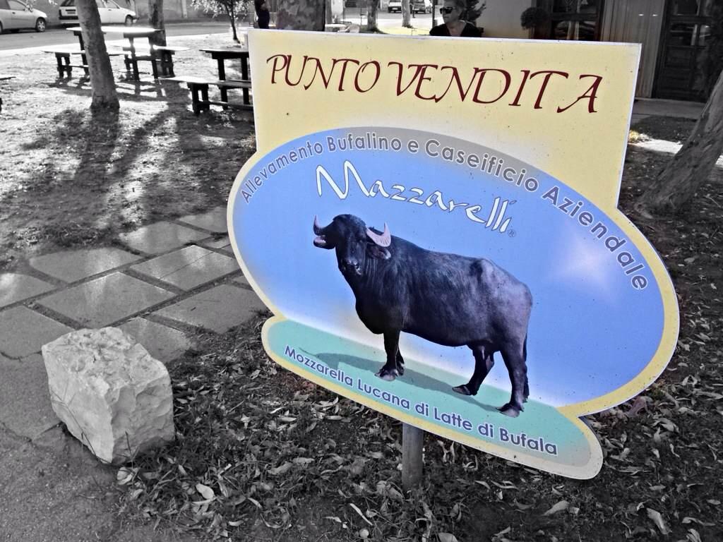 Caseificio Mazzarelli