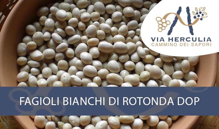 Fagioli Bianchi di Rotonda DOP
