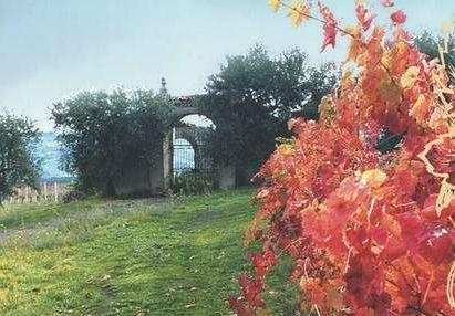 Cantine Sasso Srl